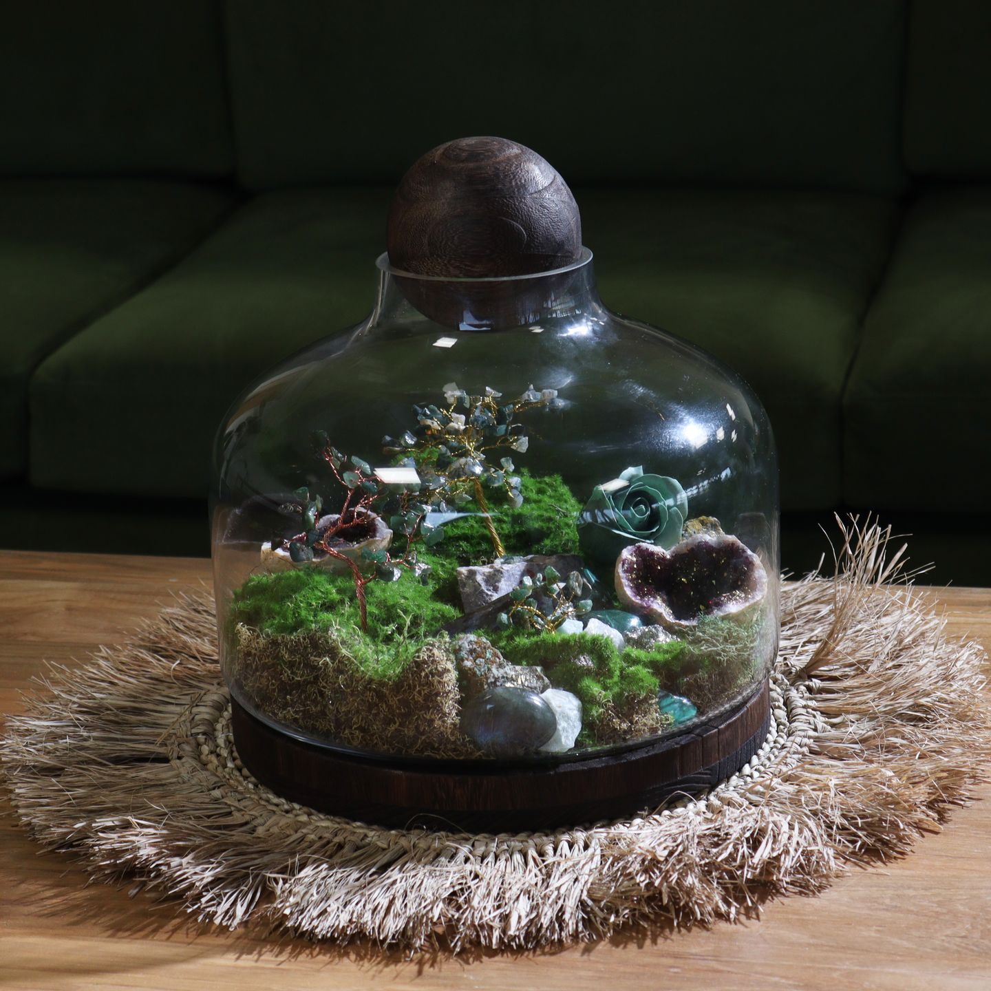 Terrarien aus Glas