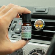 10 ml Aromatherapie Auto-Mischung - Familienausflug