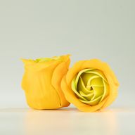 Schachtel mit 3 Seifenblumen – Frühlingsrosen