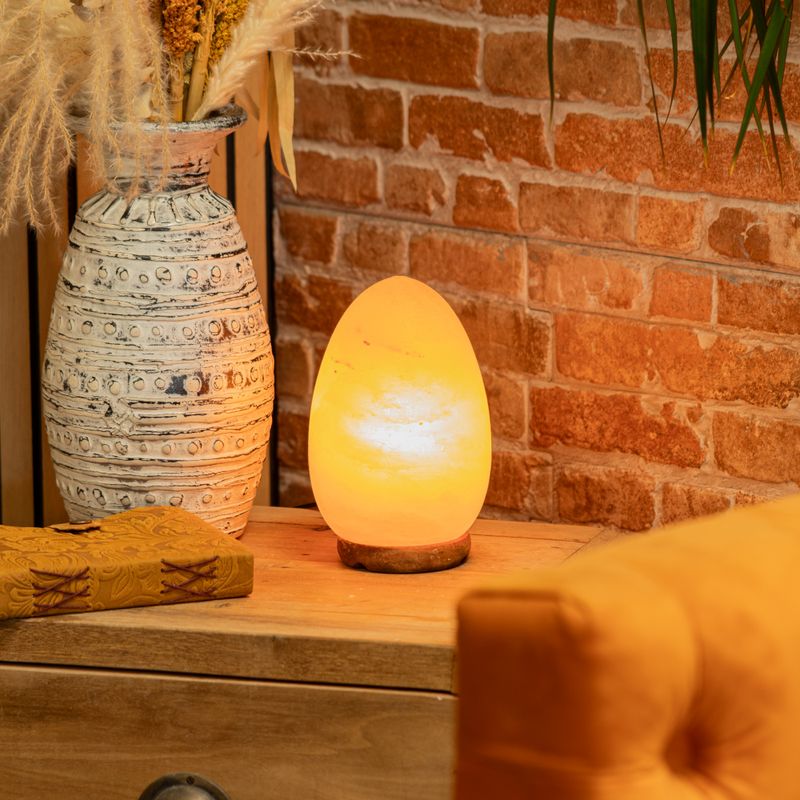 Ei-förmige Salzlampe - Holzsockel