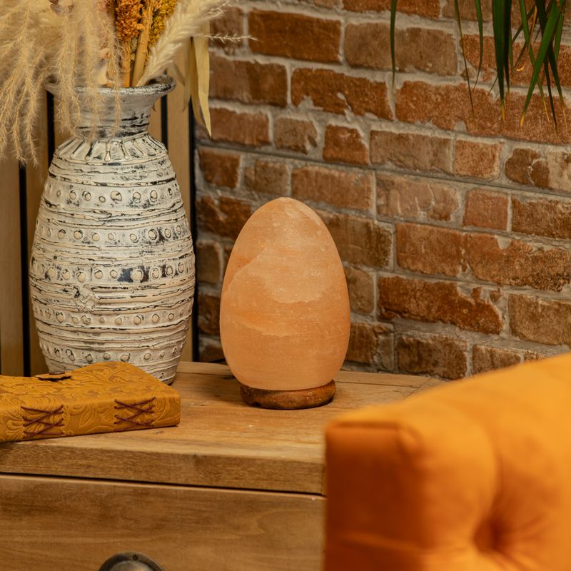 Ei-förmige Salzlampe - Holzsockel