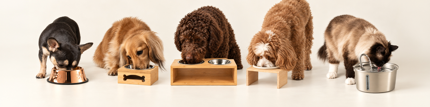 Wowsbar