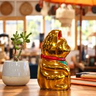 Sehr goldene Glückskatze (Maneki-neko) – 15 cm