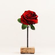 Pflanzen aus Holz – Mini-Rose (Einzelstück)