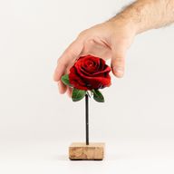 Pflanzen aus Holz – Mini-Rose (Einzelstück)