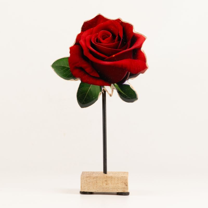 Holzpflanzen – Mittelgroße einzelne Rose