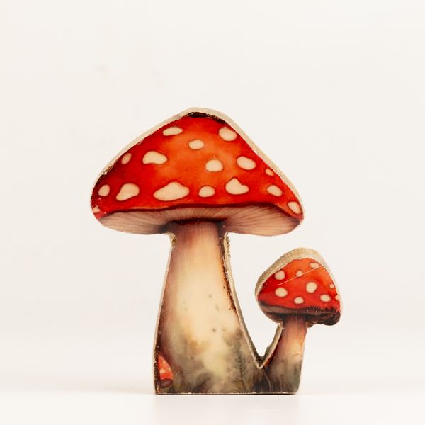 Holz-Zimmerpflanze – Mini-Fliegenpilz