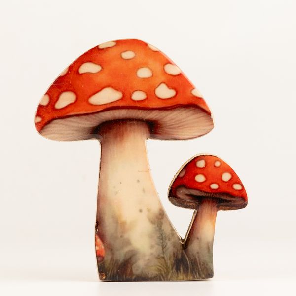 Holz-Zimmerpflanze – Mittelgroßer Fliegenpilz