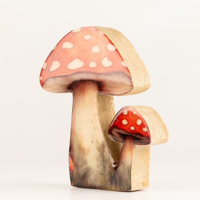 Holzpflanzen – Mittelgroßer Fliegenpilz