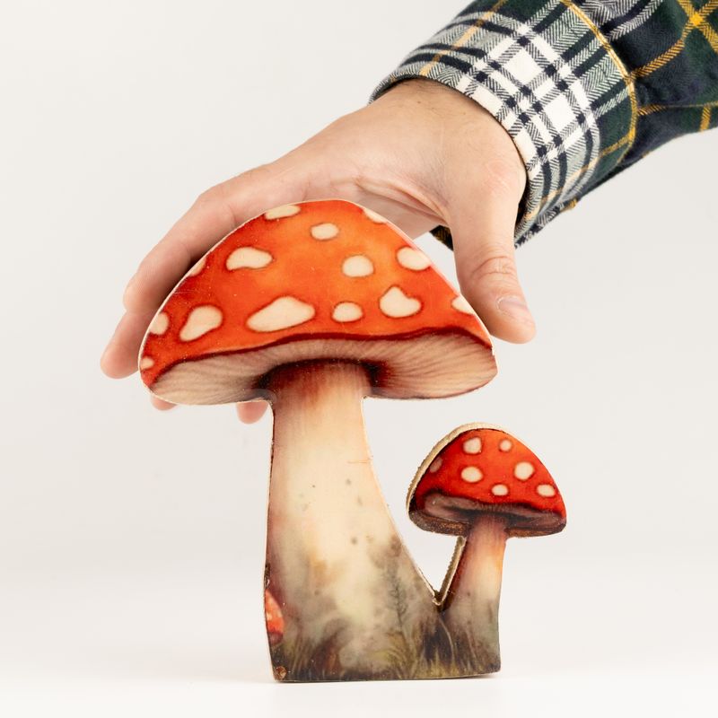 Holzpflanzen – Mittelgroßer Fliegenpilz