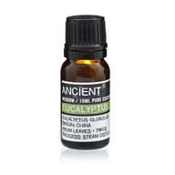 Ätherisches Eukalyptusöl 10ml