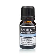 Ätherisches Römische Kamille-Öl 10ml (rein)