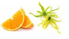 Ylang Ylang & Orange - für sexy Haar