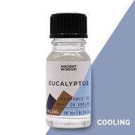 Duftöl - Eukalyptus