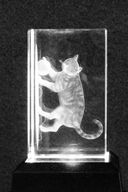 Laser Crystal - Cat