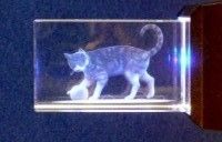 Laser Crystal - Cat