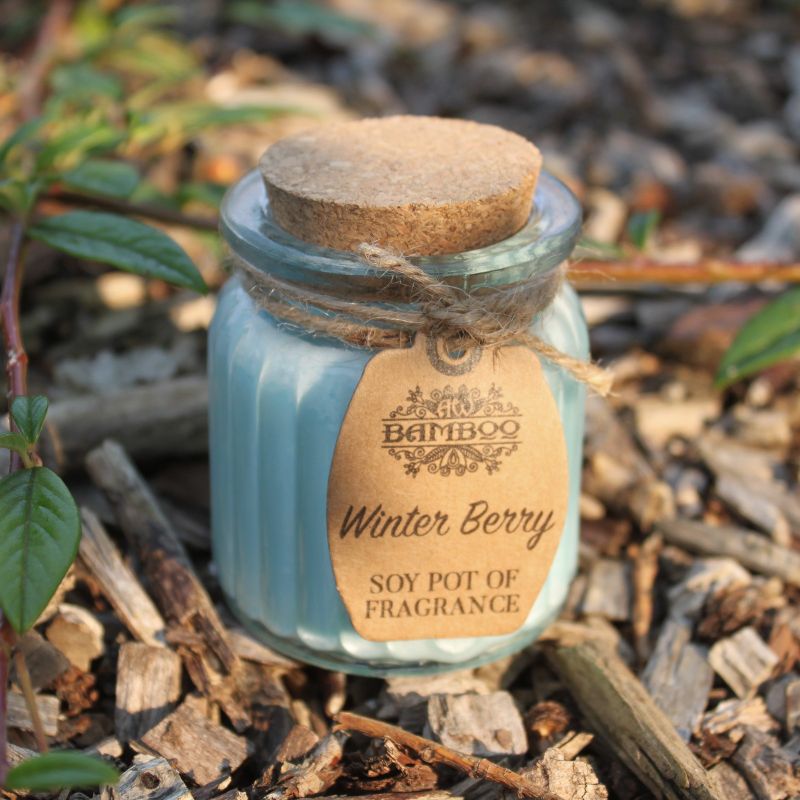 Sojawachskerze in Glas mit Korkdeckel "Winterbeeren"
