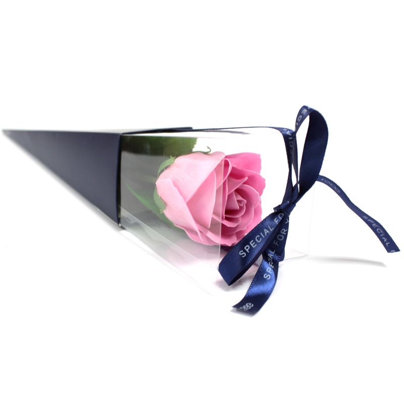 einzelne Rose - rosa
