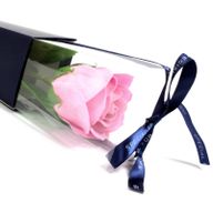 einzelne Rose - rosa