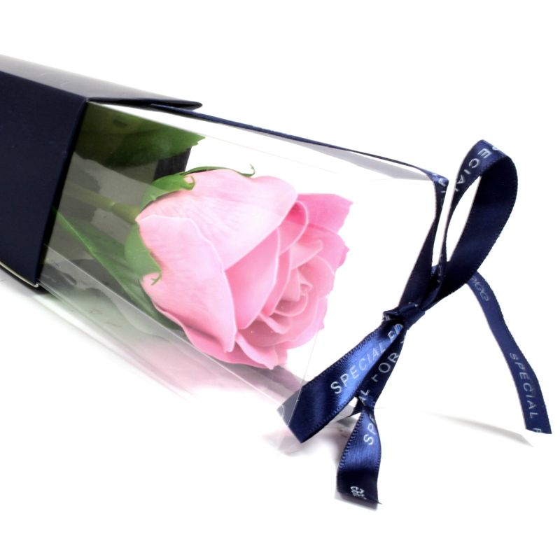einzelne Rose - rosa
