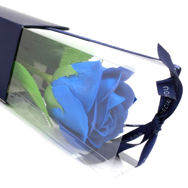 einzelne Rose - blau