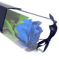 einzelne Rose - blau