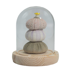 Floral Glow Gartenkuppel – 3 Seeigel – LED-USB