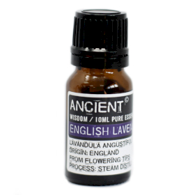 Ätherisches Englisches Lavendelöl 10ml
