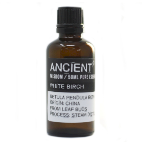 Weiße Birke - ätherisches Öl 50ml