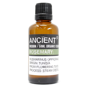 Rosmarin Bio Ätherisches Öl 50ml