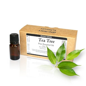 10x Teebaum Ätherische Öle (ohne Etiketten) in der 10er-Box