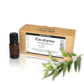 10x Eukalyptus Ätherisches Öl ohne Etiketten