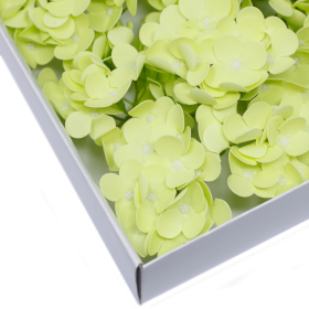 36x DIY Seifenblumen - Hyazinthen - Frühlingsgrün