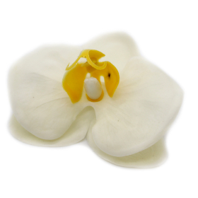 25x DIY Seifenblumen - Orchidee - Cream