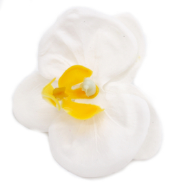 25x DIY Seifenblumen - Orchidee - Weiß