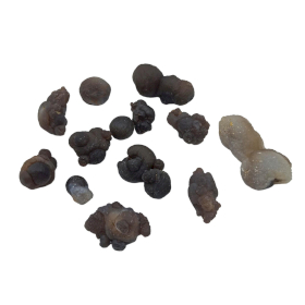 Mineralische Exemplare - Calsidone (ca. 100 Stück)