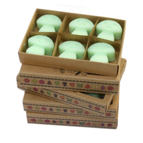 5x Duftwachs 6er Packung - Lakritze