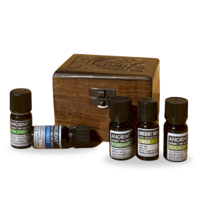 Aromatherapiepaket 6 Öle