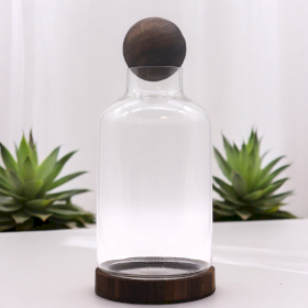 Großes Terrarium mit Kugeldeckel auf dunklem Tungholz – 16 x 32 cm