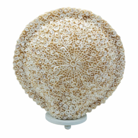 Boho Muschellampe - Cut Art Muschel Groß Rund - 30cm