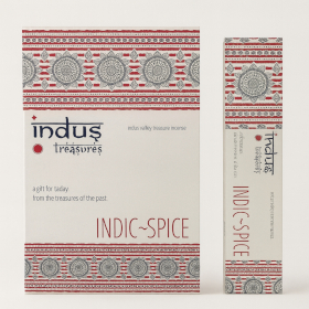 12x Indus Treasures - Indisches Gewürz - 15 g