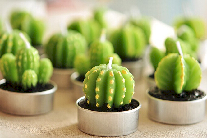 AWArtisan - trendige Kerzen in Kaktusoptik